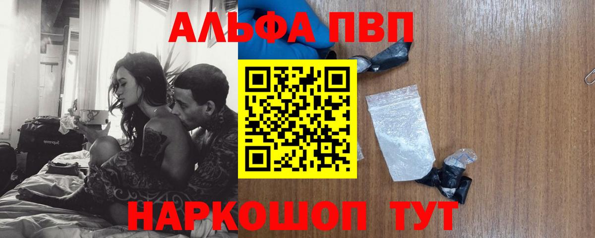 A-PVP СК КРИС Вышний Волочёк